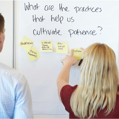 team development