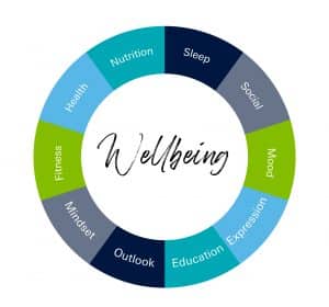 wellbeing wheel