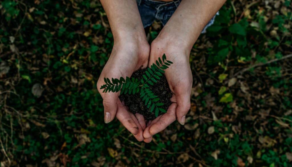 The Call to Lead for Sustainability